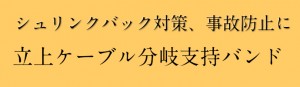 分岐支持バンド